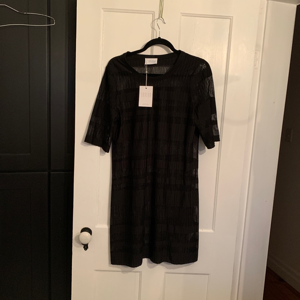 Sheer Dress 14